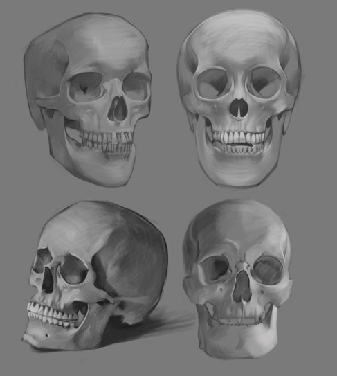 Skulls No. 1