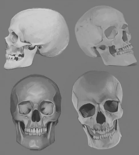 Skulls No. 2