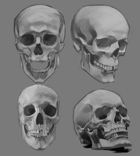 Skulls No. 3