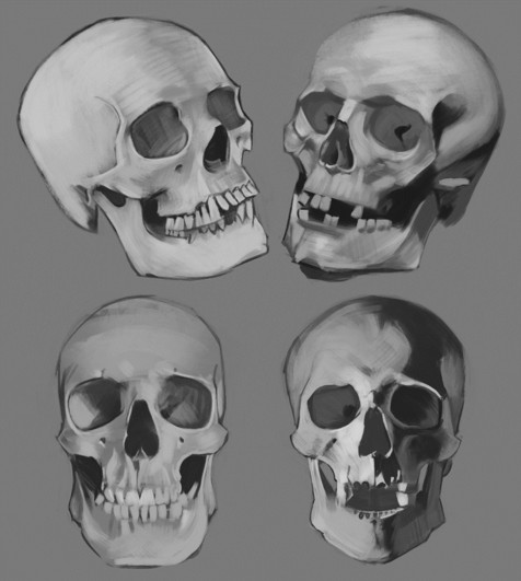 Skulls No. 4