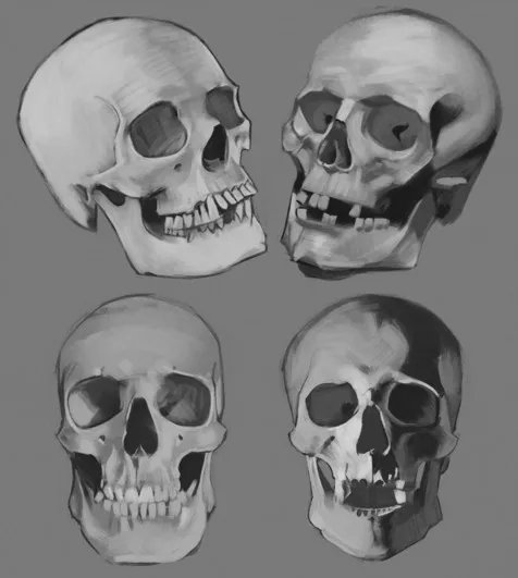 Skulls No. 4