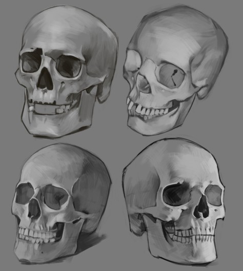 Skulls No. 5