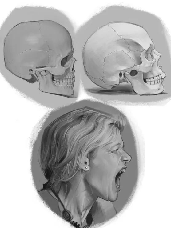 The Head 3